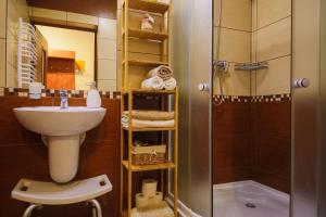 a small bathroom with a sink and a shower at Apartament Premium 608-593-000 in Białka Tatrzańska