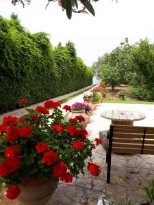 a row of flower pots with red flowers and a bench at Villa Alkyon - Dreamy 3BR, Pool & BBQ next to Varnavas Beach in Grammatiko
