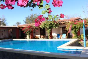 a swimming pool with pink flowers in front of a house at El Hospedaje in Cafayate