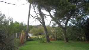 NeptuniaMini Apartamentos的一座有树木、栅栏和河流的院子