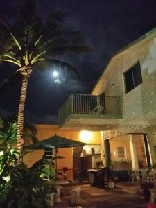 a palm tree in front of a house at night at Atlantic Sands Beach Suites in Hollywood