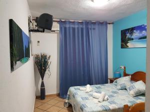 a bedroom with a bed and a blue curtain at Pension los Verdiales in La Herradura