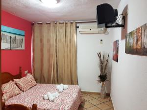 a bedroom with a bed and a television in it at Pension los Verdiales in La Herradura