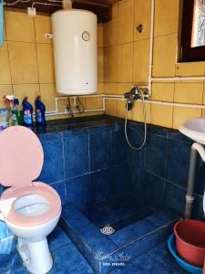 a bathroom with a toilet and a shower at Little heaven 2 in Mandići