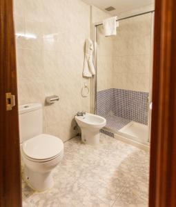 La salle de bains est pourvue de toilettes, d'un lavabo et d'une douche. dans l'établissement Hotel Parras Arnedillo, à Arnedillo