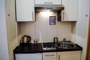 Kuchyňa alebo kuchynka v ubytovaní Hotel Krak