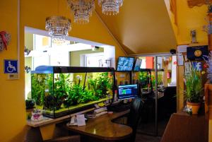 Televízia a/alebo spoločenská miestnosť v ubytovaní Hotel Krak