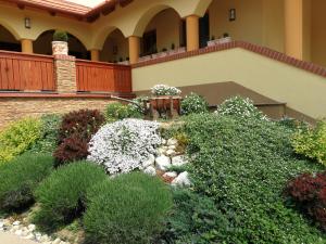 a garden with white flowers and plants in front of a building at Vitis Vendégház in Becsehely