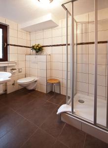 La salle de bains est pourvue d'une douche, de toilettes et d'un lavabo. dans l'établissement May-Hof, à Leverkusen