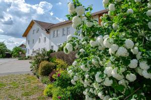Zahrada ubytování Hotel Gasthof Altmann