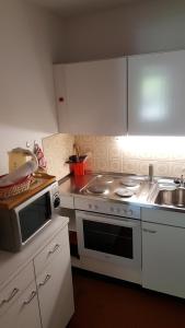 Kuchyňa alebo kuchynka v ubytovaní Ferienwohnung Angelika
