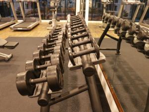 Fitness centrum a/nebo fitness zařízení v ubytování The Meadow Park