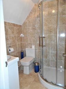 a bathroom with a toilet and a shower at Riverside Bed & Breakfast in Ironbridge