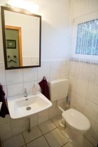 ein Badezimmer mit einem Waschbecken, einem WC und einem Spiegel in der Unterkunft Zimmer Weiss in Altenstadt