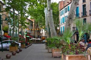 Imagen de la galería de Maison des Remparts, en Céret