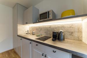 Kuchyňa alebo kuchynka v ubytovaní Babylon Apartmány