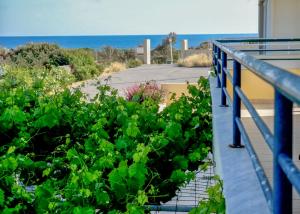 Fotografie z fotogalerie ubytování Kiotari Dreams v destinaci Kiotari