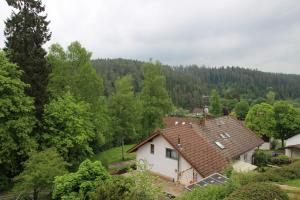 una vista aérea de una casa en un bosque en Kuckucksnester Friedenweiler, en Friedenweiler