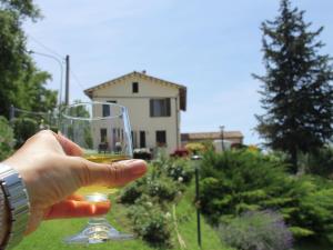 a hand holding a wine glass with a house in the background at Flat with swimming pool garden BBQ and parking in Arcevia