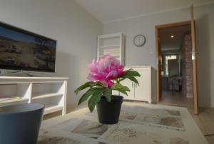 Fotografia z galérie ubytovania JDK Apartamenty Podmiejska 38m2 5-osobowy v destinácii Kalisz