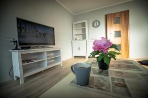 Televízia a/alebo spoločenská miestnosť v ubytovaní JDK Apartamenty Podmiejska 38m2 5-osobowy