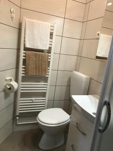 ein kleines Bad mit WC und Waschbecken in der Unterkunft Apartma Vražič in Bled