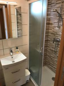 ein Bad mit einer Dusche, einem Waschbecken und einem WC in der Unterkunft Apartma Vražič in Bled