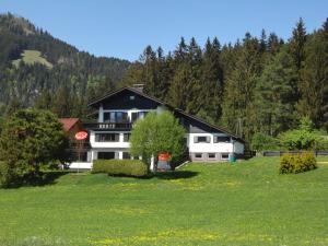 una casa en una colina con un campo y árboles en Ferienwohnung Fuchs, en Bad Mitterndorf