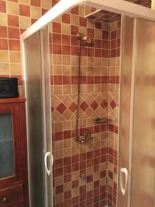a shower in a bathroom with brown tiles at Apartment Gaia in Lokve +22 photos