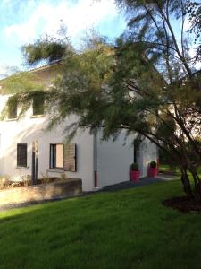 une maison blanche avec un arbre dans la cour dans l'établissement Demeure & Dépendance - Chambres d'hôtes depuis 2012, à Tassin-la-Demi-Lune