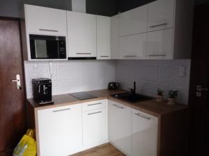 Kuchnia lub aneks kuchenny w obiekcie apartament Fanaberia