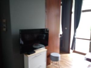 telewizor z płaskim ekranem umieszczony na szafce w obiekcie apartament Fanaberia w Zwierzyńcu