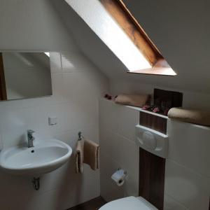 a bathroom with a sink and a toilet and a skylight at Landhotel Sonnenschein in Bad Liebenwerda