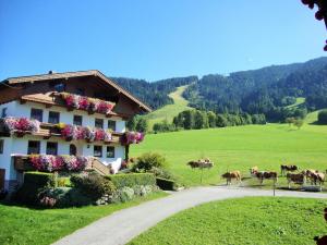 a house on a road next to a field with cows at Sixenhof in Niederau