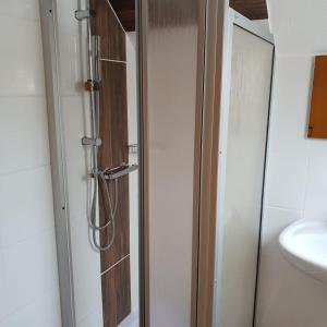 a shower with a glass door in a bathroom at Landhotel Sonnenschein in Bad Liebenwerda