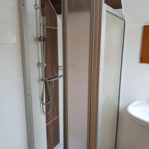 a shower with a glass door in a bathroom at Landhotel Sonnenschein in Bad Liebenwerda +6 photos