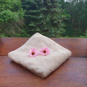 two pink flowers sitting on a pillow on a bench at Landhotel Sonnenschein in Bad Liebenwerda