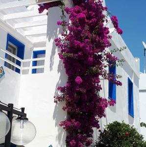 The building in which az apartmanhoteleket is located