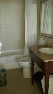 a bathroom with a toilet and a sink and a mirror at Cirque St Armands Beachside in Sarasota