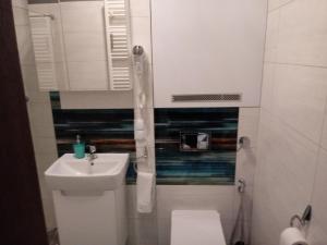 Łazienka w obiekcie apartament Fanaberia