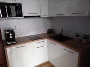 Kuchnia lub aneks kuchenny w obiekcie apartament Fanaberia