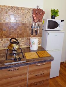 Η κουζίνα ή μικρή κουζίνα στο Old City Residence Riharda Vagnera +5 φωτογραφίες