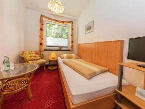 TV a/nebo společenská místnost v ubytování Hotel Waldidyll