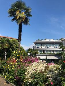 Zahrada ubytování Hotel Royal