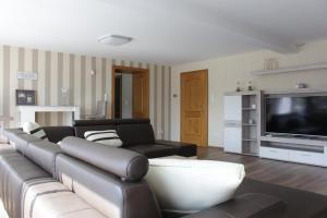 un soggiorno con divano in pelle e TV di Ferienhaus "Am Backes" a Gefell