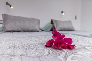 Letto o letti in una camera di Avraki