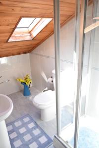 uma casa de banho com um WC e uma clarabia em Casa do Cho do Ribeiro em Gouveia