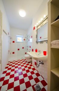a bathroom with a red and white checkered floor at Apartments Vila Marjetica in Bled