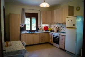 アギア・パラスカヴィにあるGarden Houseのキッチン(木製キャビネット、白い冷蔵庫付)