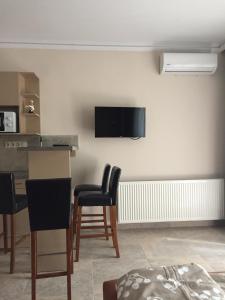 Televízia a/alebo spoločenská miestnosť v ubytovaní Balaton Kinizsi Apartman